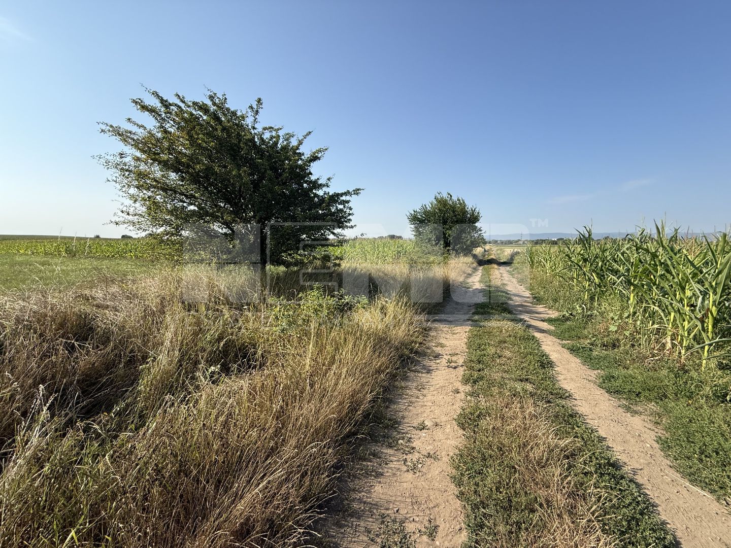 Teren extravilan | Rădăuți | 600 m de centură | 20 m front - Poză 1