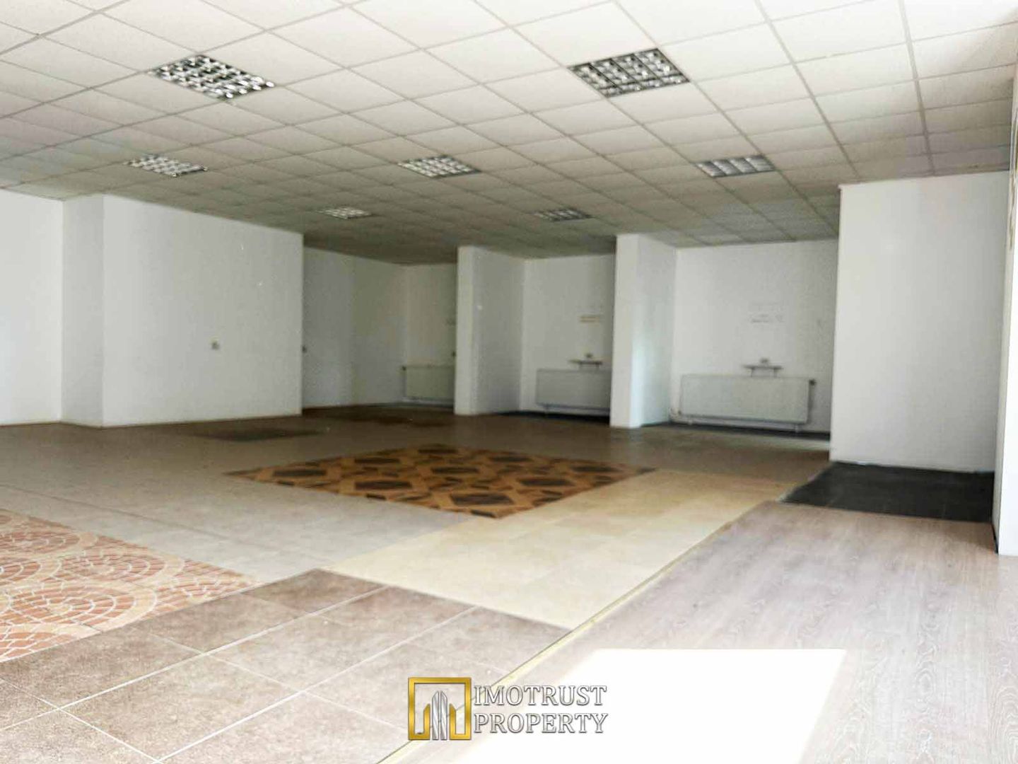 Hala industriala de inchiriat – Arad, Strada Padurii - Poză 8