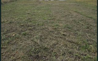 De vanzare | Teren intravilan 1500 mp | Cordau | Cu livada - Poză 3