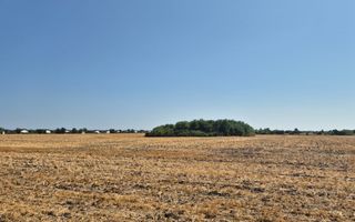 Teren intravilan 4428 mp - Balotesti - Poză 2