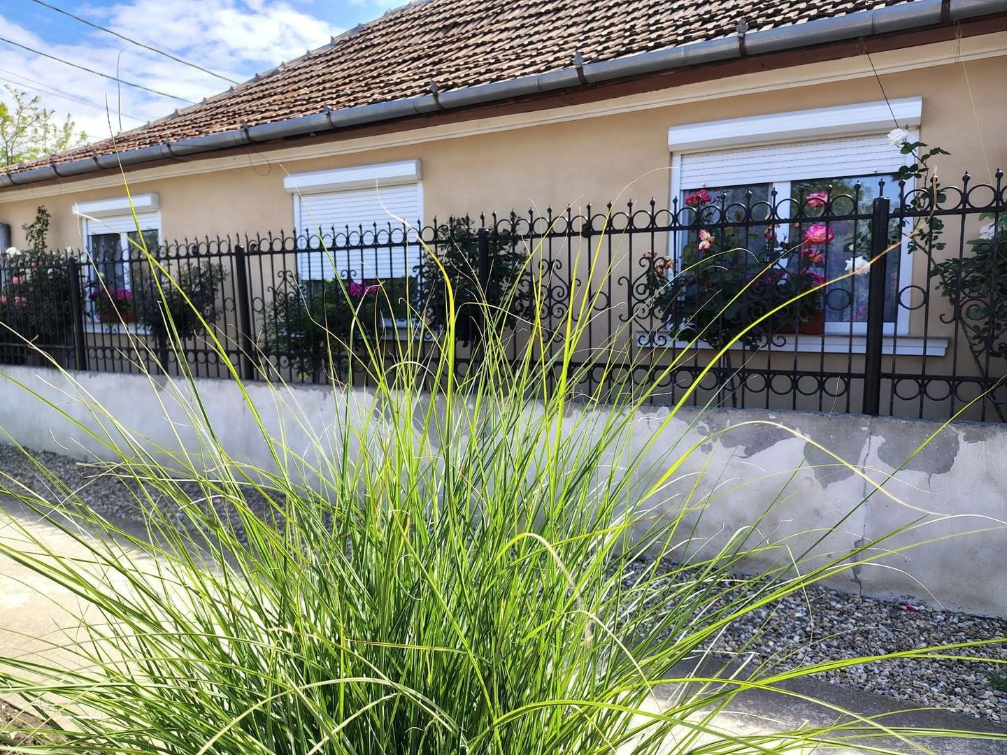 Casa 3 camere Sacuieni zona Garii - Poză 8