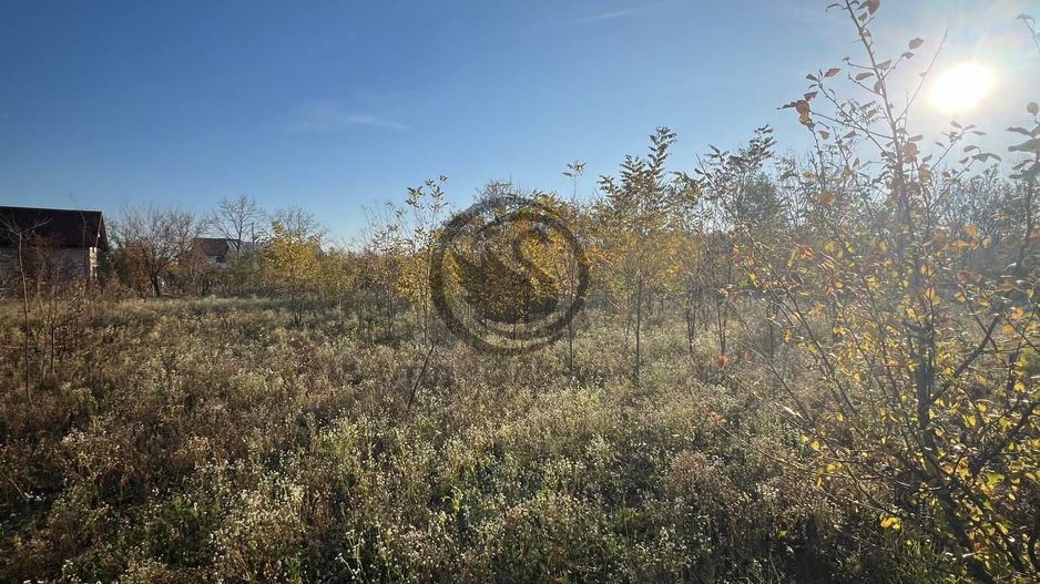 Teren intravilan de vanzare | 12.650 mp | Ghirdoveni | Comision 0% - Poză 10