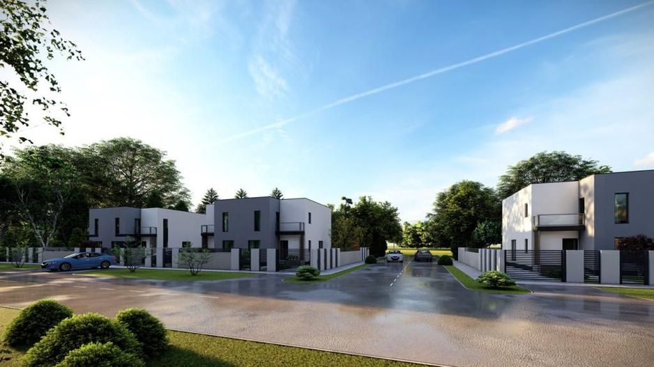 Duplex  Sanandrei - Poză 3