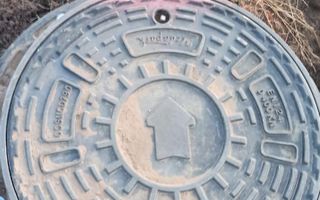 Teren Branesti - Strada Noua - Poză 4