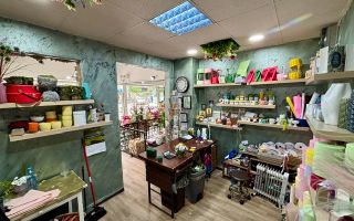 Investitie - Spatiu comercial ultracentral, inchiriat cu 900 Euro - Poză 6