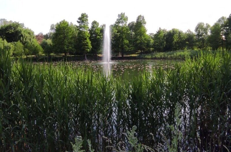 Lacul Tei Parcul Circului - Apt de inchiriat cu 2 camere - Poză 4