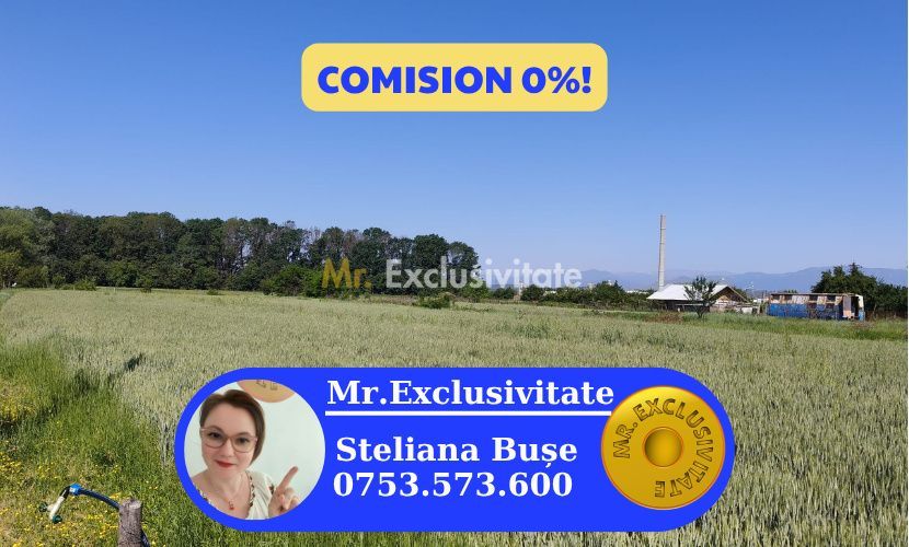 Teren 10.294 mp de vânzare Târgu Jiu | Intravilan + Extravilan | Utilități - Poză 1