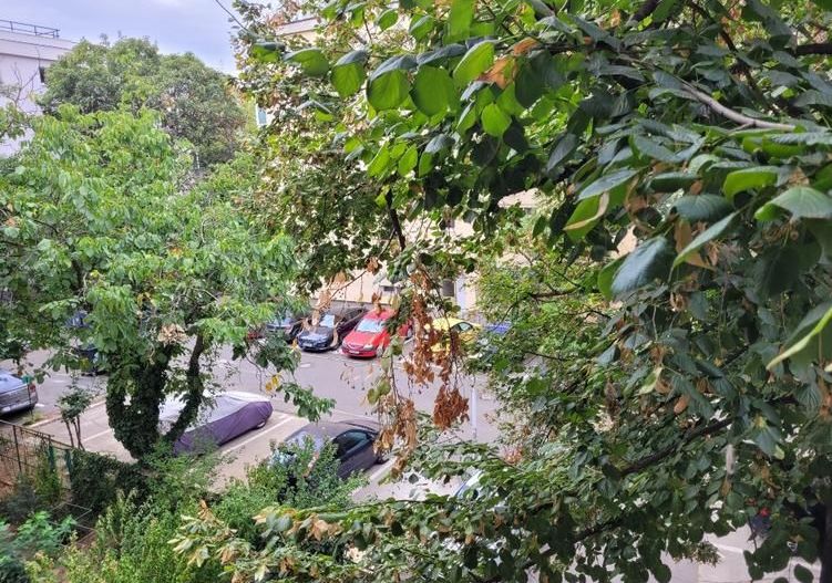 2 camere – metrou Gorjului la 3 minute, bloc P+4, mobilat complet - Poză 4