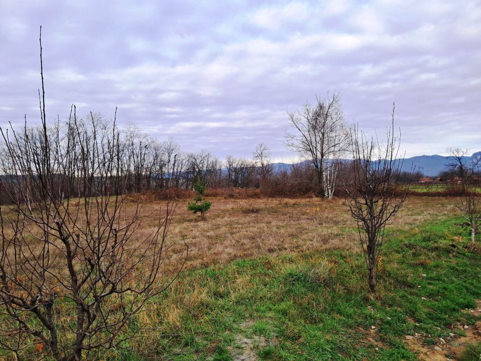 TEREN INTRAVILAN POLOVRAGI - Poză 8