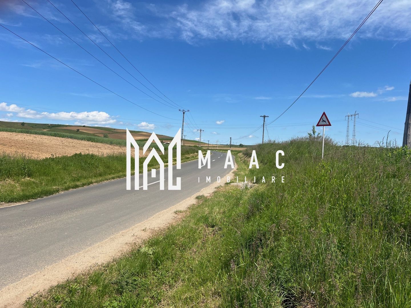 TEREN I 45200 MP - Poză 3