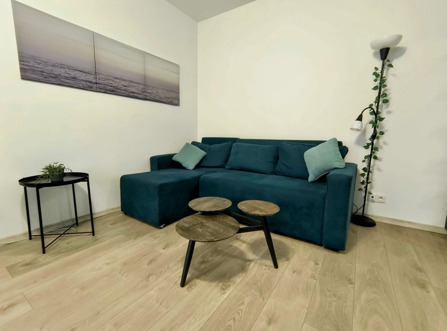 Ion MIhalache- Ciuperca- Hotel Samaa - Poză 2