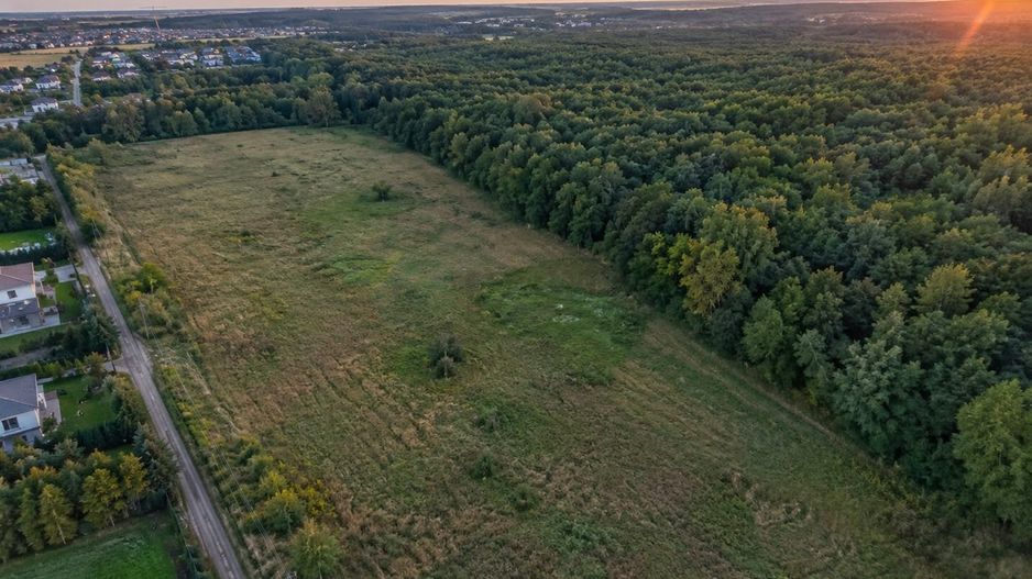 TEREN PREMIUM DE VÂNZARE | TUNARI – PRIMA LINIE LA PĂDURE - Poză 2