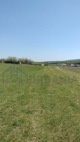 Teren extravilan 7.200 mp, Bordea - Grajduri, oportunitate investiție - Poză 3