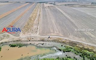 Teren agricol, 5HA, comasat, drum acces, Cateasca - Poză 4