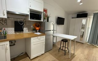 Centru - Independentei- 5-10 min walk to UMF/UAIC - Poză 4