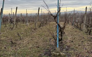 Teren cu utilități 2052 mp - Oradea - str. Făgetului - Poză 8