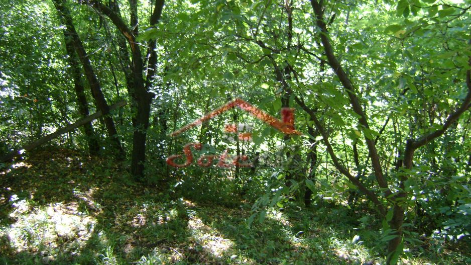 Teren de vânzare în Breaza– zonă liniștită, ideal pentru relaxare - Poză 8