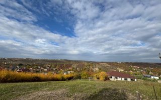 Teren intravilan Dealuri Oradea 3649 mp - Poză 1