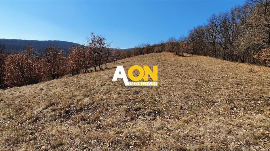 Teren ideal pentru cabana 4165 mp langa padure zona Valea Popii - Poză 1