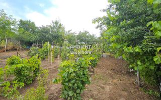 Casa traditionala in VASLUI, zona GURA BUSTEI, teren 500 mp; - Poză 8