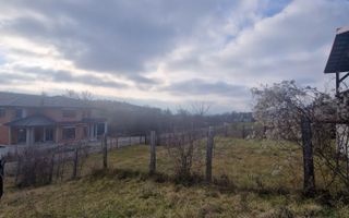 Teren intravilan | Livezile - Poză 2