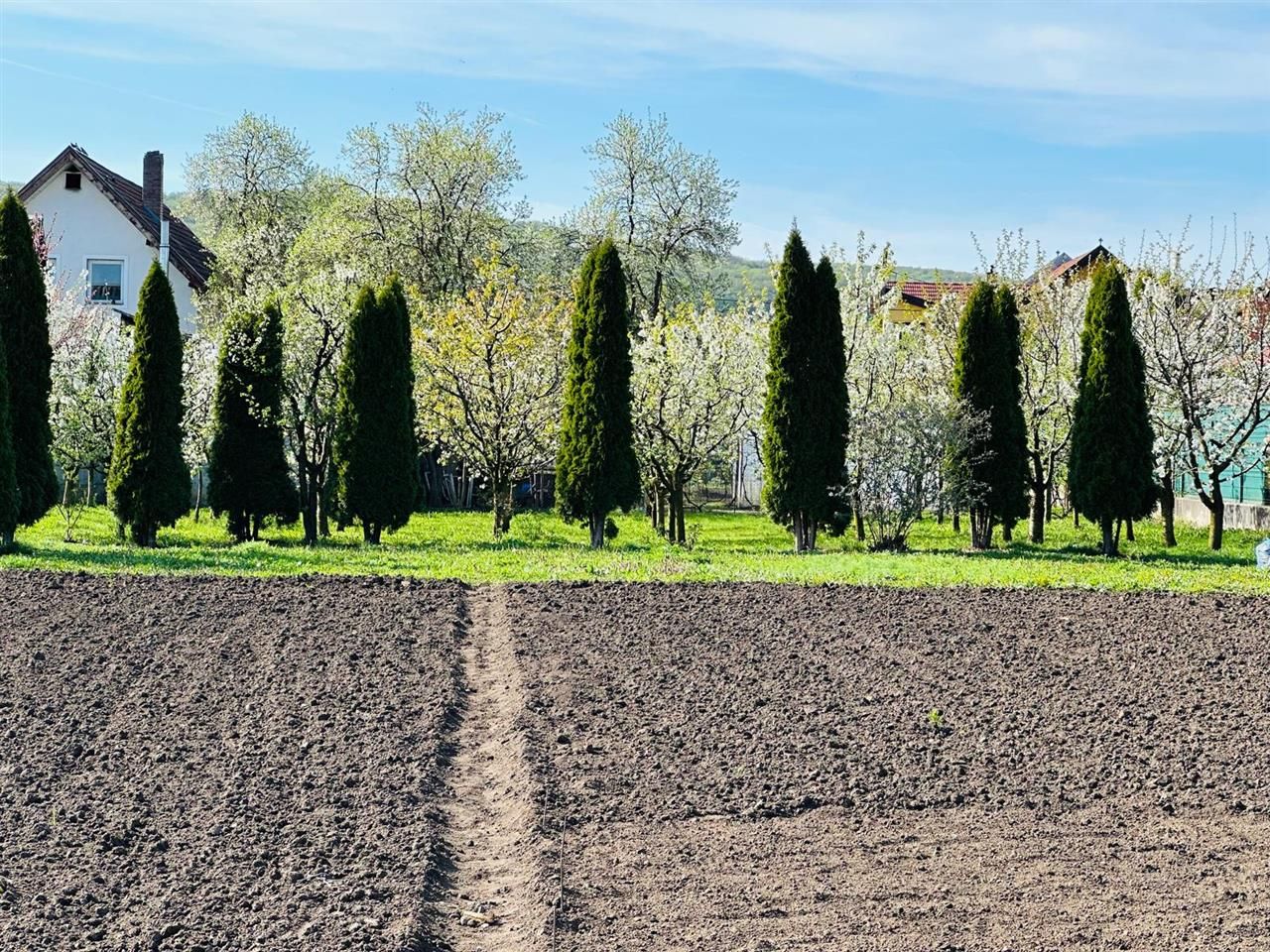 Vila remarcabila+casa boiereasca,in pretios areal de 2.100 mp, Santana de Mures - Poză 7