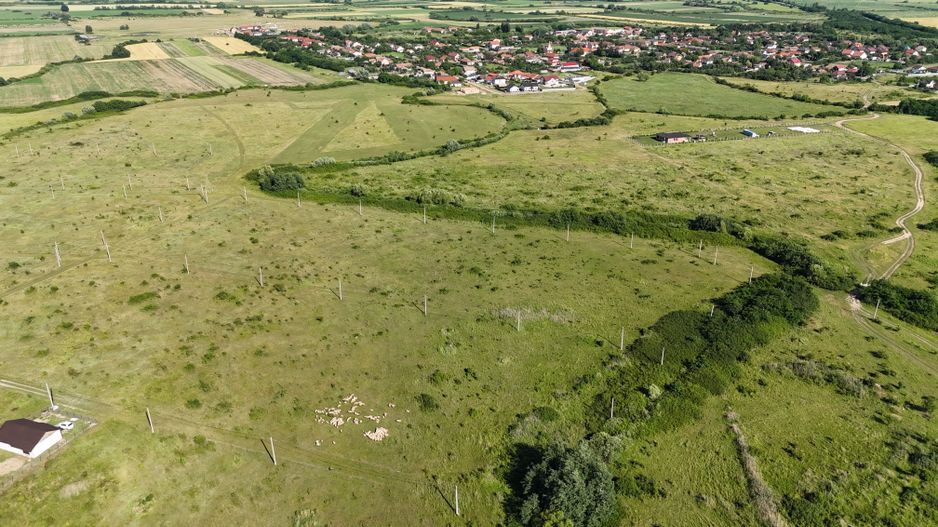 Terenuri zona  MOSNITA NOUA -  ALBINA . - Poză 33