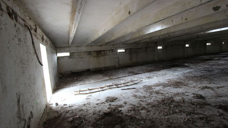 Vanzare hale Mosnita Noua-fosta Ferma 7 - Poză 20