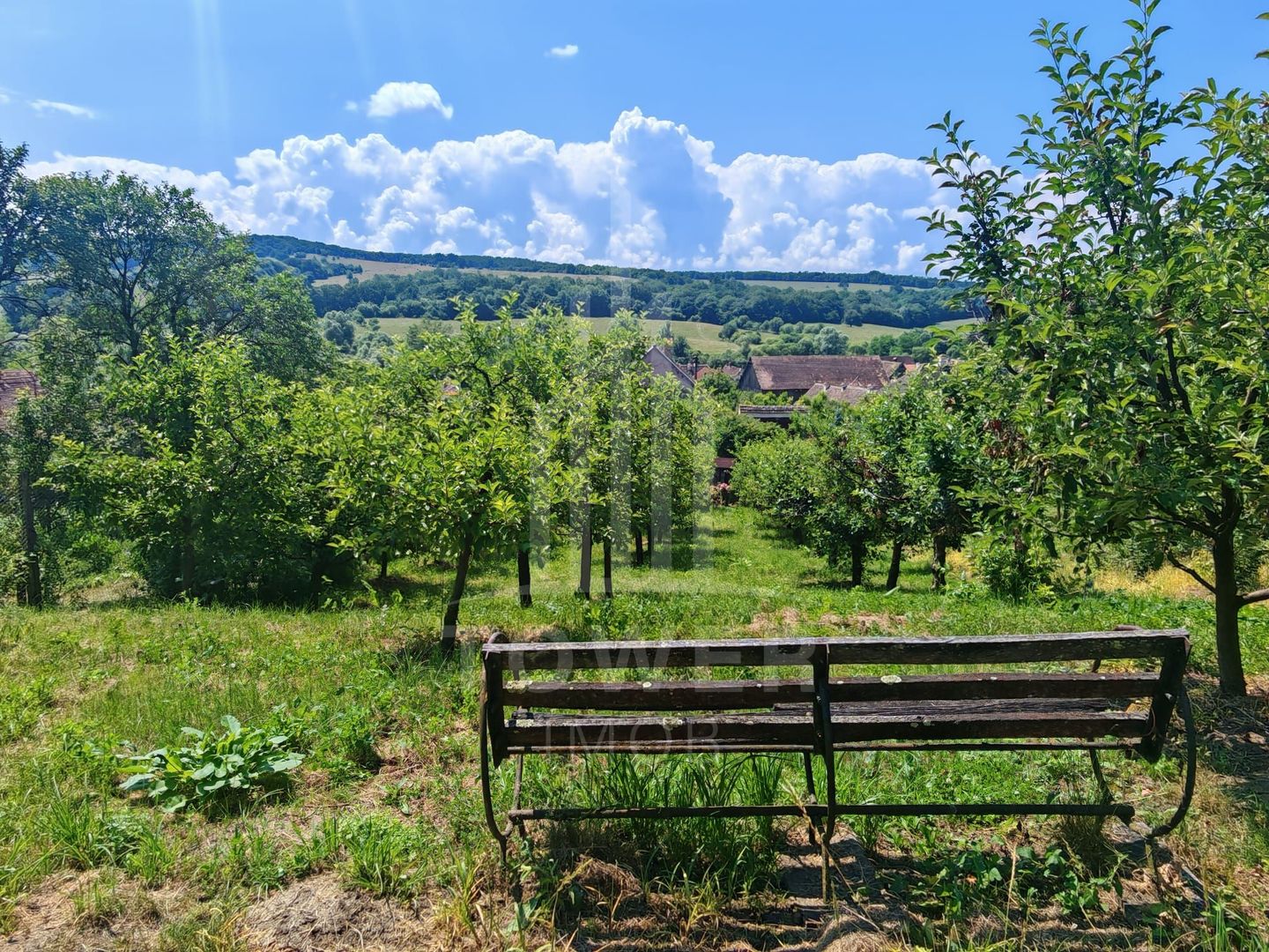 Casă săsească autentică în Bruiu (Sibiu) - Poză 1