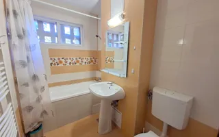 Apartament 2 camere de inchiriat, strada Constantin Brancusi! - Poză 11