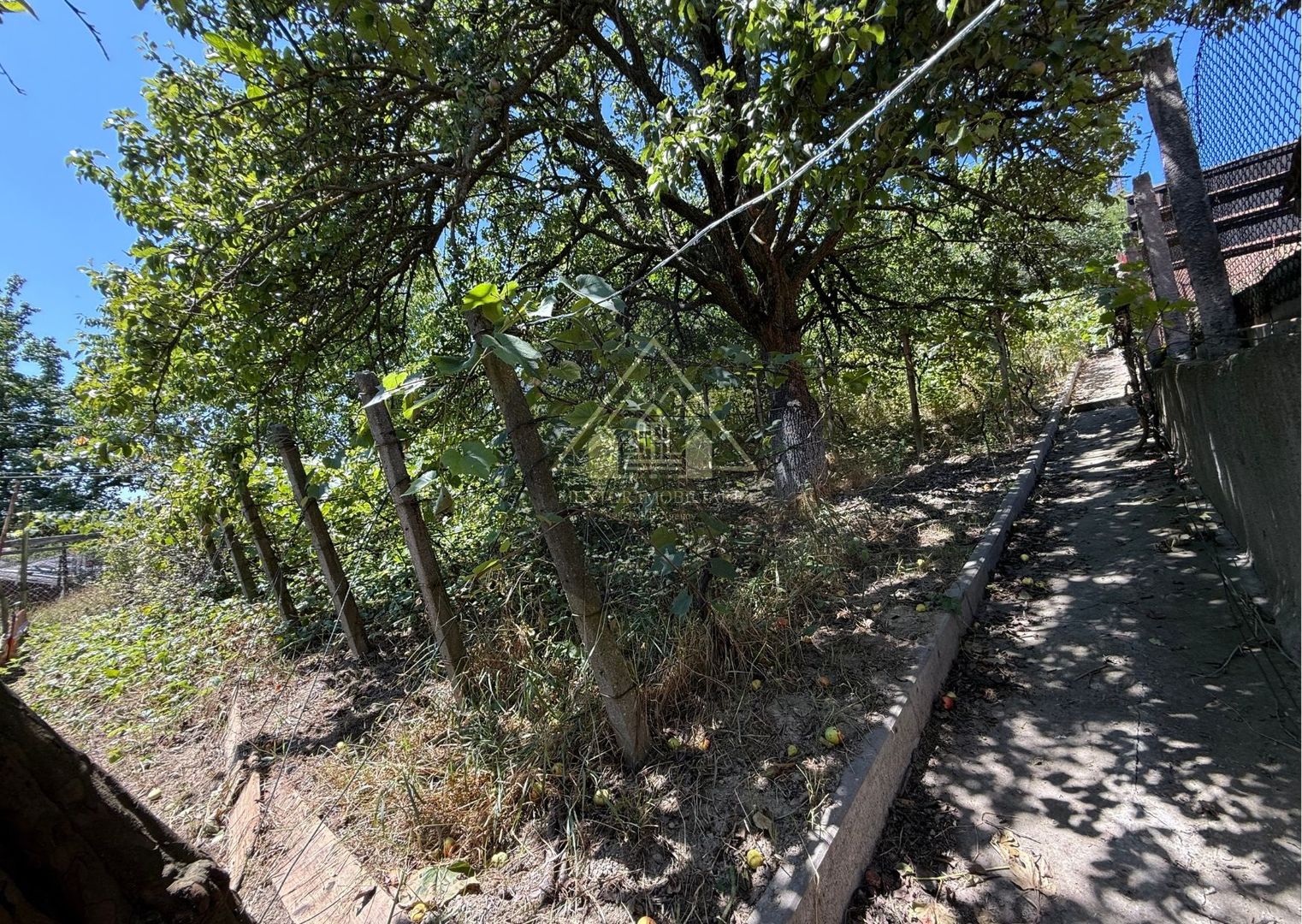 Casă Medias Vitrometan - Poză 24