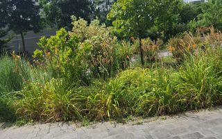 Apartament 3 camere Aviatiei Park I Promenada I COMISION 0% - Poză 10