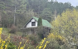 Cabana din lemn cu panorama superba asupra Florestiului - Poză 2