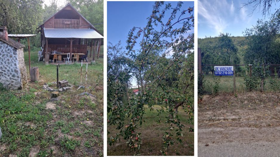 Teren de vacanță 5600 mp cu cabană, Utilitaiile Căsoaia jud Arad - Poză 3