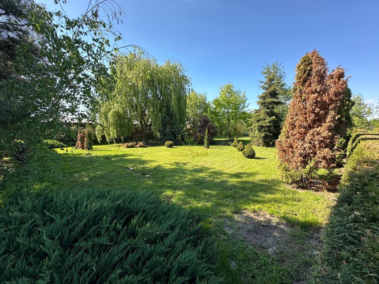 De vanzare Teren 20000MP cu sere/solarii și plantații - Poză 12