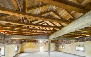 Moară istorică cu teren și luciu de apă în Aldești - Poză 7