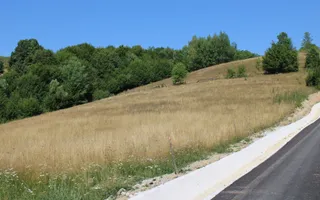 Terenuri Carpinis I parcelabil I Curent pe proprietati - Poză 11