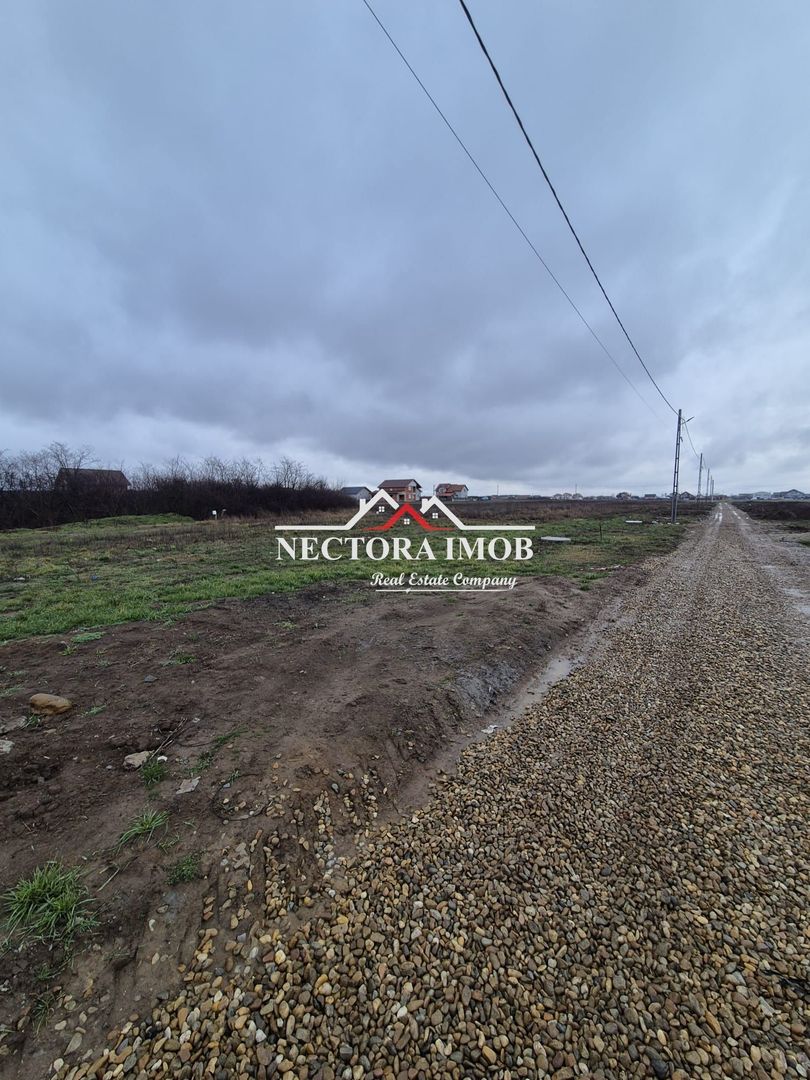 NECTORA IMOB-Teren Intravilan 501 mp, cu front 19ml, Nojorid,Utilitati - Poză 5
