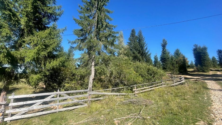 Teren Intravilan | Dealul Negru | Investiție | 1500 mp - Poză 2