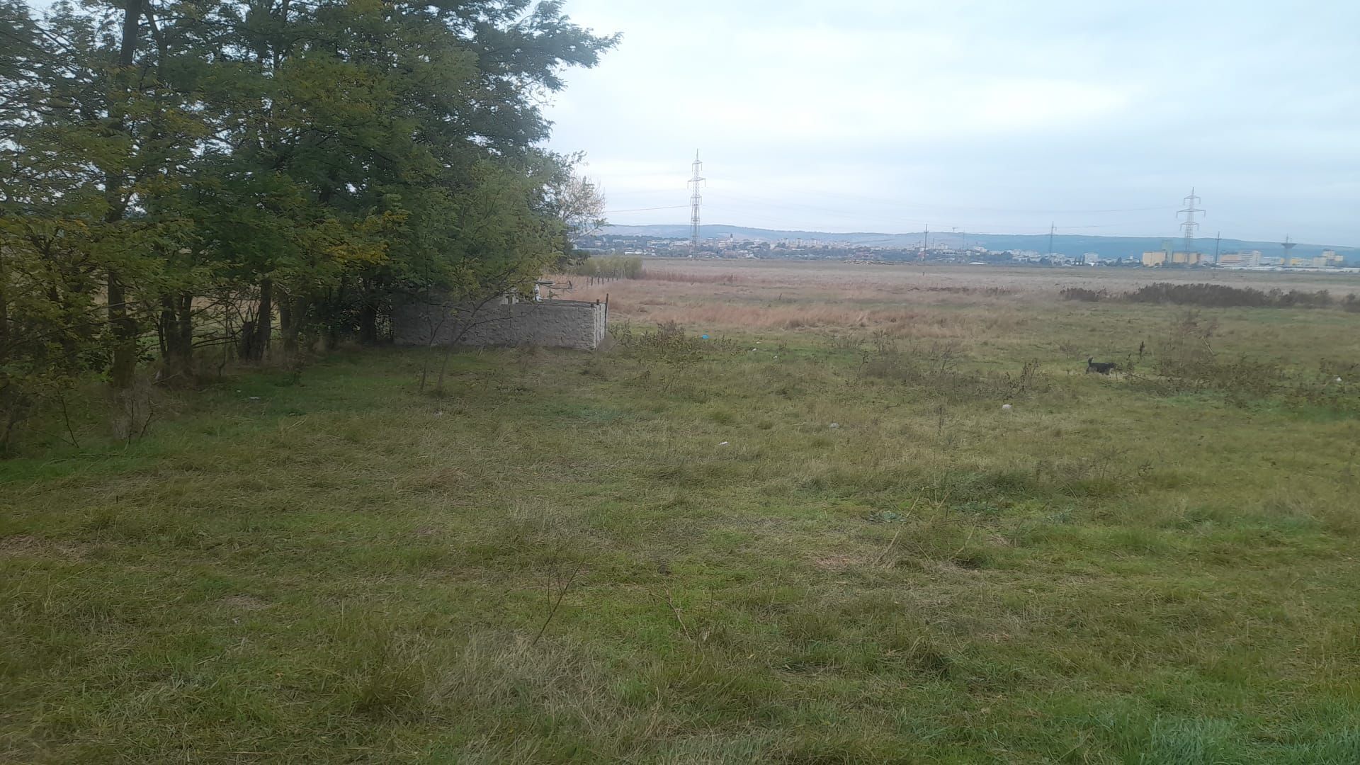 TEREN EXTRAVILAN 7.600 mp, VASLUI - zona REDIU; - Poză 2