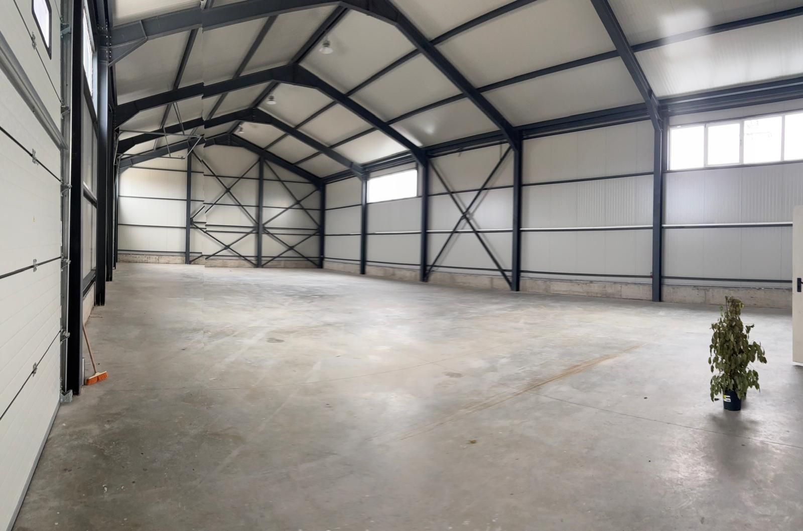 Hala in Ciolpani - Poză 1