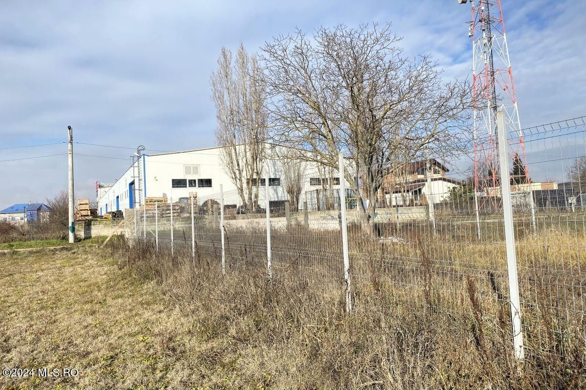 Afumati - Str. Iasomiei, 2409 MP, stradal, intravilan, deschidere 12 m - Poză 19