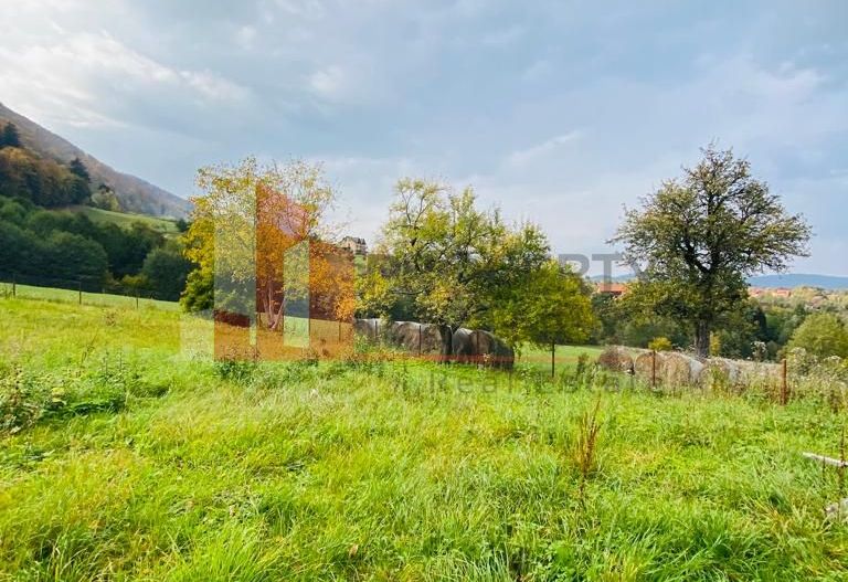 Casa + teren 1700 mp langa Padure Bran/ Predelut - Poză 4