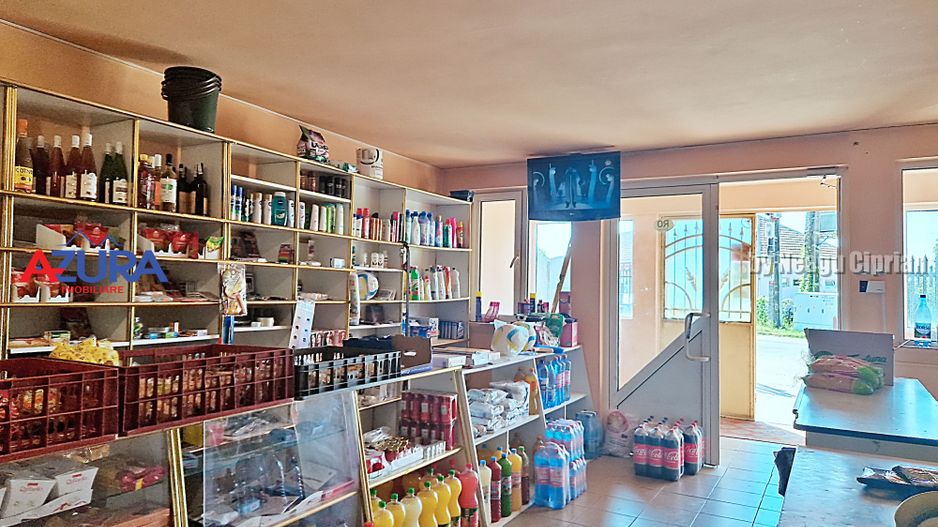 AZURA Imobiliare - Casa de Vanzare Micesti Central, Comision 0% - Poză 22