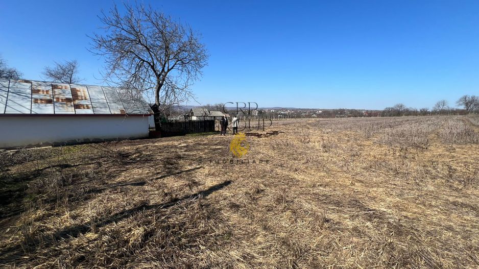 Casa + teren 7000 mp, Movilita - Vrancea - Poză 11
