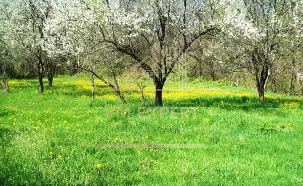 CASA DEMOLABILA + TEREN INTRAVILAN 3420 MP CAMPULUNG-MARCUS, - Poză 3