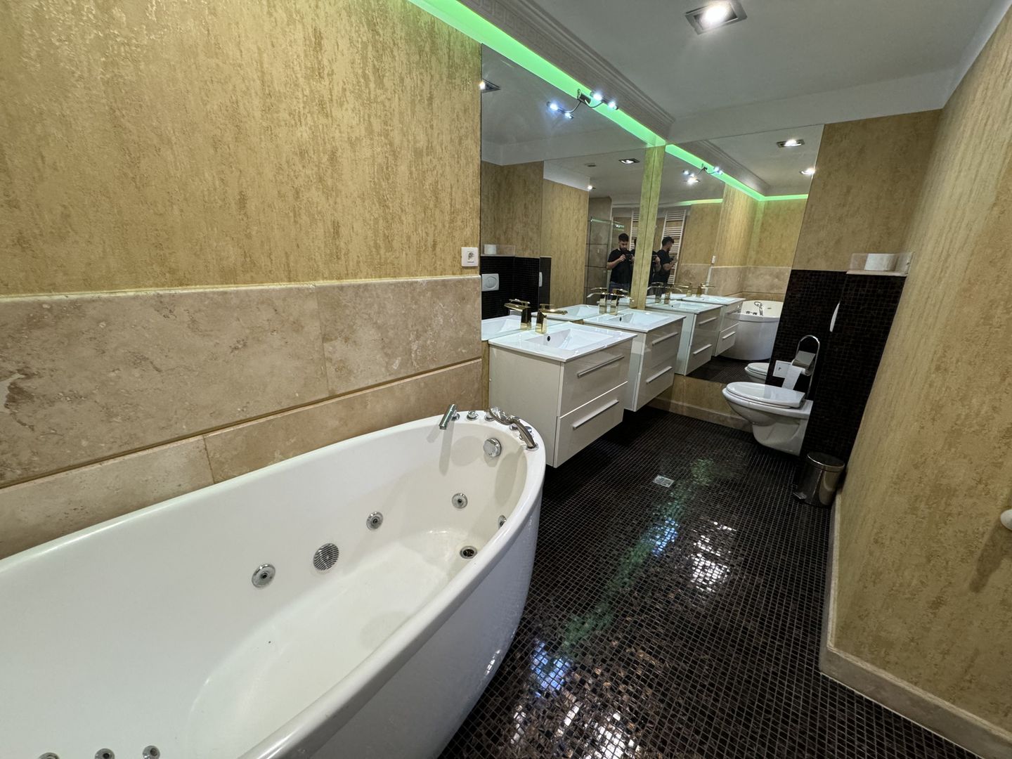 Triplex 5 Camere de Închiriat - Herăstrău, Cartierul Francez - Poză 15