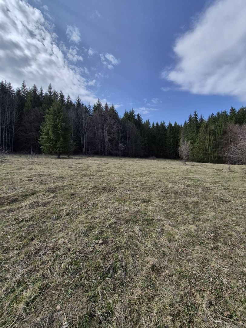 Teren intravilan la baza pădurii Valea Doftanei sat Traisteni (poduri) - Poză 13