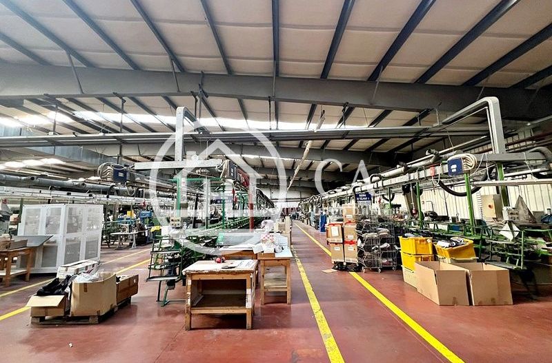 Hală de închiriat în zona industrială Santion, Bihor - Poză 4