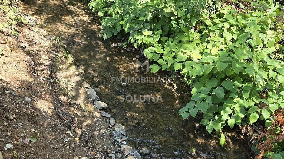 Casă de vânzare Baia Mare -zona Valea Borcutului - Poză 20